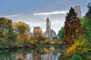 central park new york